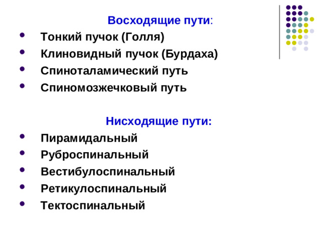 Проводящая функция  спинного мозга   Проводящие пути: 1. Ассоциативные (связывают различные сегменты спинного мозга с одной стороны). 2. Комиссуральные (связывают правую и левую половины спинного мозга на одном уровне). 3. Проекционные (связывают нижележащие отделы ЦНС с вышерасположенными и наоборот):  а) восходящие (сенсорные)  б) нисходящие (моторные).