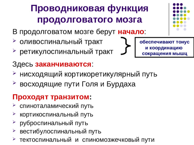 Различают две группы рефлексов позы:  1. Статические (поддержание позы в покое): рефлексы положения рефлексы выпрямления   лабиринтные рефлексы шейные рефлексы 2. Статокинетические (поддер-жание позы при изменении ско-рости движения):