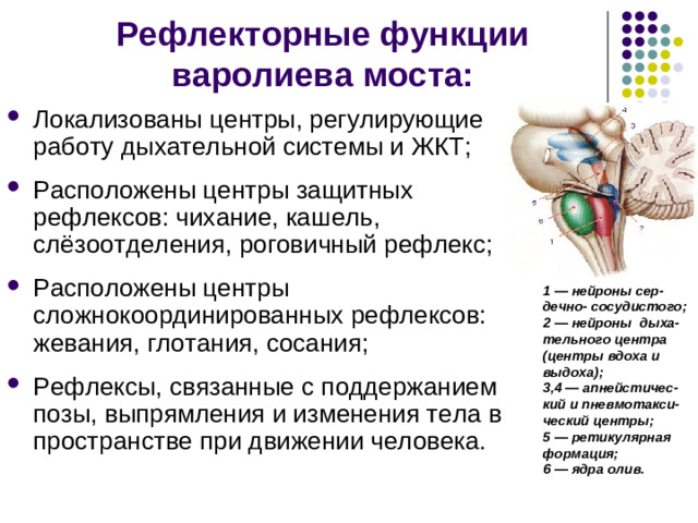 Функции мо c та: