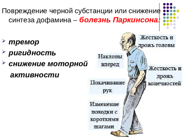 Черная субстанция –  скопление непигментированных нейронов и нейронов, содержащих пигмент меланин. Медиаторы черной субстанции: Дофамин (пигментированные нейроны) АХ и ГАМК (непигментированные нейроны)  Функции черной субстанции: