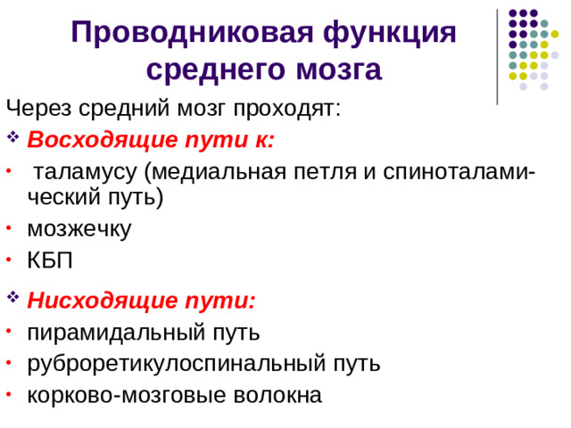 Голубое пятно  — плотное скопление нейронов, отростки которых образуют дивергентные сети с одним входом. Его восходящие волокна проецируются к структурам коры, промежуточного мозга и мозжечка, нисходящие проекции идут в спинной мозг к симпатическим центрам и мотонейронам. Медиатор – норадреналин.  Отвечает за физиологическую реакцию напряжения и тревоги.