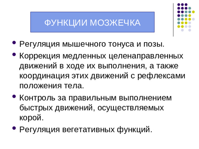 Ножки мозжечка Верхние – соединяют мозжечок с таламусом, мостом, средним мозгом, ретикулярной формацией. Средние – связывают новый мозжечок с лобной  долей мозга.