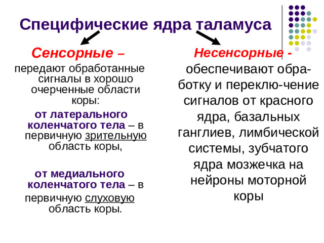 РФ ствола, гипоталамус, лимбическая система, базальные ядра, специфические ядра таламуса  неспецифические ядра таламуса подкорковые структуры  различные отделы коры