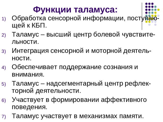 Ассоциативные ядра – способствуют осуществлению психических процессов: