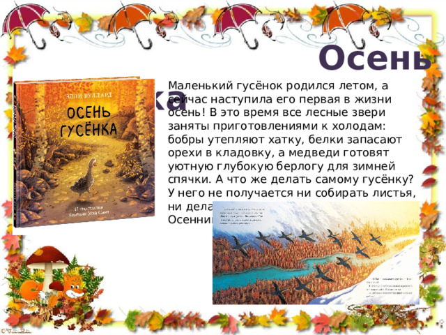 Осень гусёнка Маленький гусёнок родился летом, а сейчас наступила его первая в жизни осень! В это время все лесные звери заняты приготовлениями к холодам: бобры утепляют хатку, белки запасают орехи в кладовку, а медведи готовят уютную глубокую берлогу для зимней спячки. А что же делать самому гусёнку? У него не получается ни собирать листья, ни делать кладовую, ни валить деревья. Осенний ветерок поможет найти ответ...