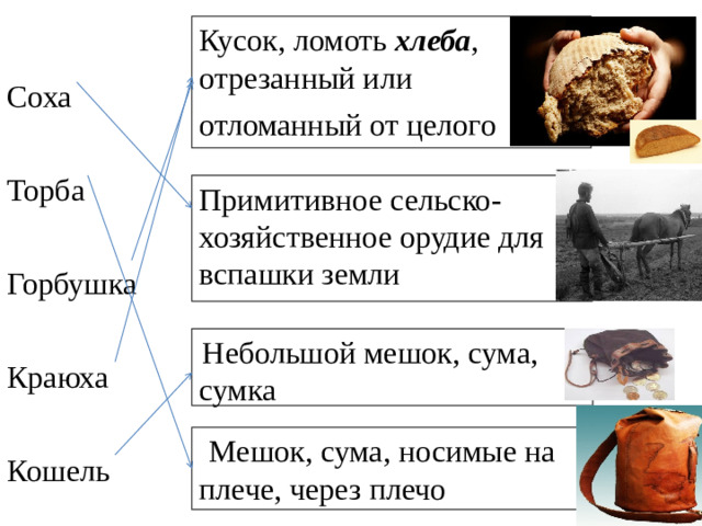 Соха Кусок, ломоть  хлеба , отрезанный или отломанный от целого Торба Горбушка Краюха Кошель Примитивное сельско-хозяйственное орудие для вспашки земли  Небольшой мешок, сума, сумка  Мешок, сума, носимые на плече, через плечо