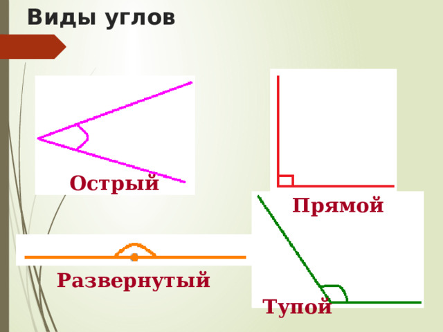 Виды углов Острый Прямой Развернутый Тупой