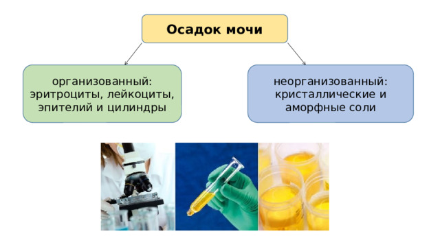 Осадок мочи организованный: эритроциты, лейкоциты, эпителий и цилиндры неорганизованный: кристаллические и аморфные соли