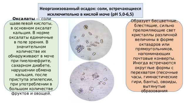 Образует бесцветные, блестящие, сильно преломляющие свет кристаллы различной величины в форме октаэдров или прямоугольников, напоминающих почтовые конверты. Иногда встречаются округлые формы с перехватом (песочные часы, гимнастические гири, банты), овоиды, вытянутые образования  Оксалаты — соли щавелевой кислоты, в основном оксалат кальция. В норме оксалаты единичные в поле зрения. В значительном количестве их обнаруживают в моче при пиелонефрите, сахарном диабете, нарушении обмена кальция, после приступа эпилепсии, при употреблении в большом количестве фруктов и овощей.