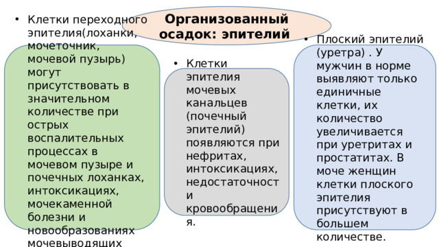 Организованный осадок: эпителий