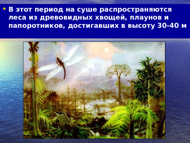 В этот период на суше распространяются леса из древовидных хвощей, плаунов и папоротников, достигавших в высоту 30-40 м