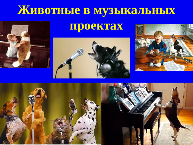 Животные в музыкальных проектах