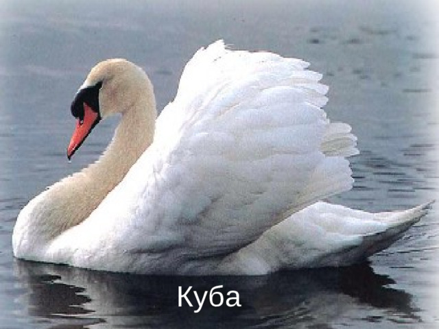 Куба