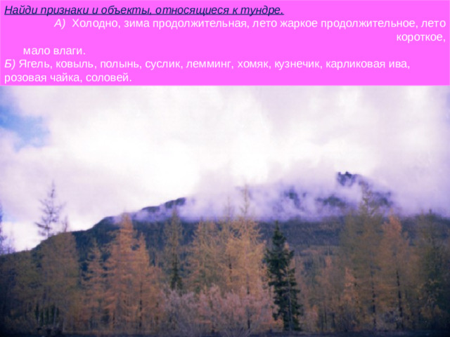 Найди признаки и объекты, относящиеся к тундре. А) Холодно, зима продолжительная, лето жаркое продолжительное, лето короткое,  мало влаги. Б) Ягель, ковыль, полынь, суслик, лемминг, хомяк, кузнечик, карликовая ива, розовая чайка, соловей.