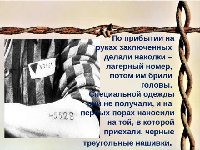 По прибытии на  руках заключенных делали наколки – лагерный номер, потом им брили головы. Специальной одежды  они не получали, и на первых порах наносили  на той, в которой приехали, черные треугольные нашивки .