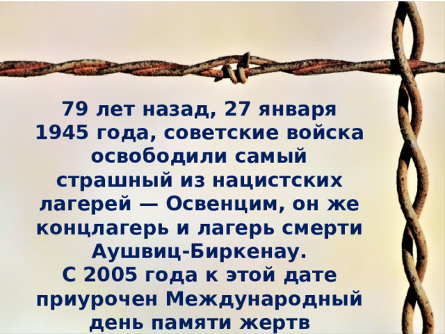 79 лет назад, 27 января 1945 года, советские войска освободили самый страшный из нацистских лагерей — Освенцим, он же концлагерь и лагерь смерти Аушвиц-Биркенау. С 2005 года к этой дате приурочен Международный день памяти жертв Холокоста. .