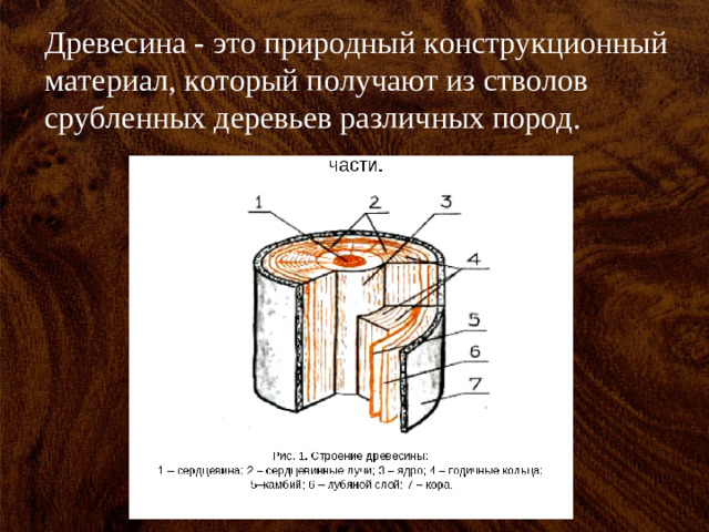 Древесина - это природный конструкционный материал, который получают из стволов срубленных деревьев различных пород.