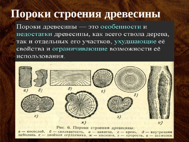 Пороки строения древесины