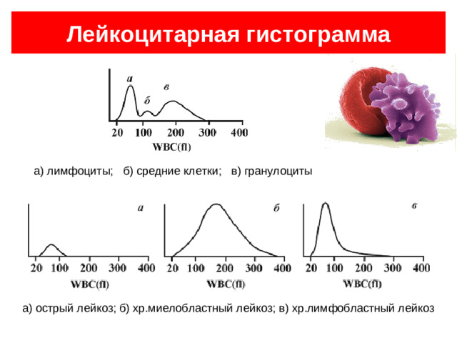 Скорость оседания эритроцитов (СОЭ) Повышение Увеличение фракции крупнодисперсных белков (воспаление, гипоальбуминемия, парапротеинемии) Анемия Злокачественные новообразования Беременность, менструация Снижение