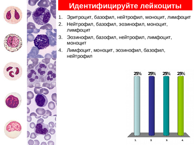 Количество лейкоцитов в норме М 3,9-7,9, Ж 4,0-8,8 *10 12 / л М 4,0-8,8, Ж 3,9-7,9 *10 12 / л М 3,9-7,9, Ж 4,0-8,8 *10 9 / л М 4,0-8,8, Ж 3,9-7,9 *10 9 / л 4,0-8,8*10 9 / л 39 из 84