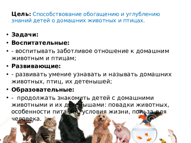 Цель :  Способствование обогащению и углублению знаний детей о домашних животных и птицах.