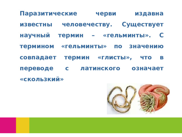 Паразитические черви издавна известны человечеству. Существует научный термин – «гельминты». С термином «гельминты» по значению совпадает термин «глисты», что в переводе с латинского означает «скользкий»