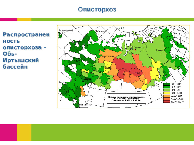 Описторхоз Распространенность описторхоза – Обь-Иртышский бассейн