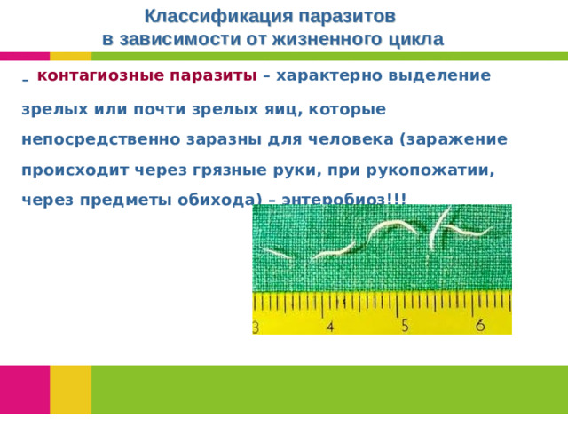 Классификация паразитов в зависимости от жизненного цикла