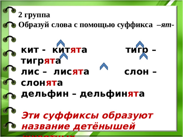 2 группа  Образуй слова с помощью суффикса  – ят-   кит - кит ят а тигр – тигр ят а лис – лис ят а слон – слон ят а дельфин – дельфин ят а  Эти суффиксы образуют название детёнышей животных