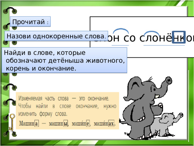 Прочитай : Слон со слонёнком. Назови однокоренные слова . Найди в слове, которые  обозначают детёныша животного,  корень и окончание.