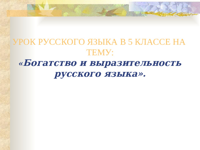 УРОК РУССКОГО ЯЗЫКА В 5 КЛАССЕ НА ТЕМУ: « Богатство и выразительность русского языка».                