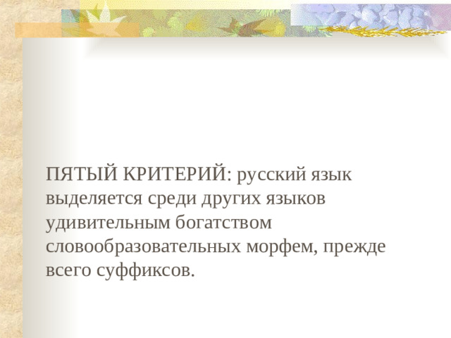 ПЯТЫЙ КРИТЕРИЙ: русский язык выделяется среди других языков удивительным богатством словообразовательных морфем, прежде всего суффиксов .