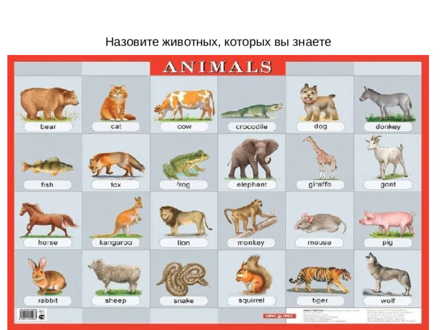 Назовите животных, которых вы знаете