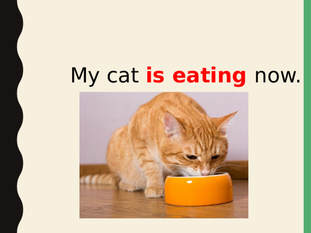 My cat is eating now.