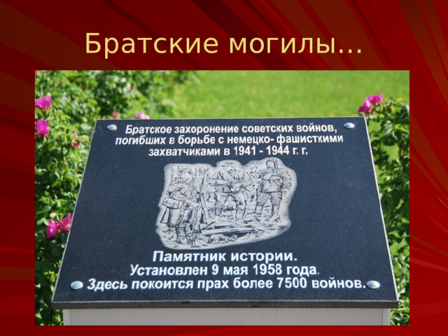 Братские могилы…