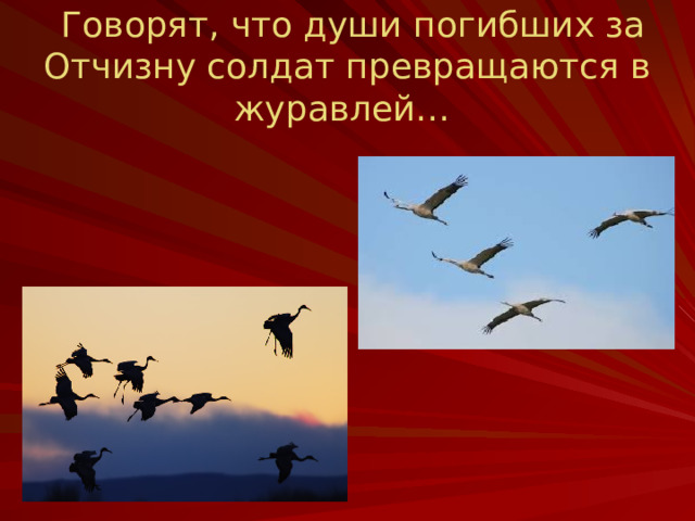 Говорят, что души погибших за Отчизну солдат превращаются в журавлей…