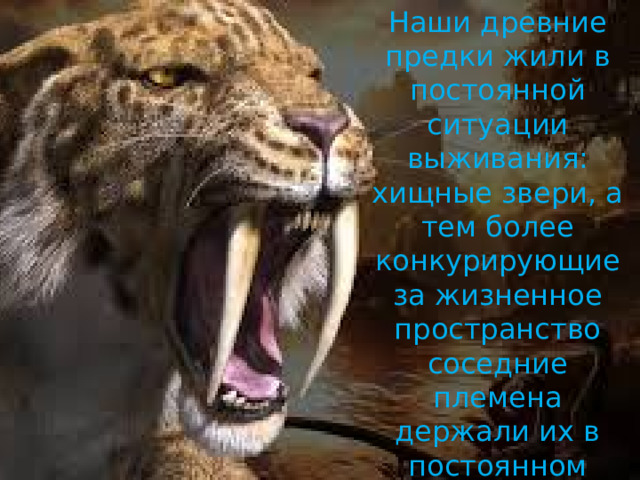 Наши древние предки жили в постоянной ситуации выживания: хищные звери, а тем более конкурирующие за жизненное пространство соседние племена держали их в постоянном напряжении.