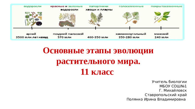 Основные этапы эволюции растительного мира. 11 класс Учитель биологии МБОУ СОШ№1 Г. Михайловск Ставропольский край Полянко Ирина Владимировна