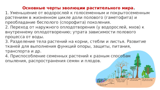 Основные черты эволюции растительного мира . 1. Уменьшение от водорослей к голосеменным и покрытосеменным растениям в жизненном цикле доли полового (гаметофита) и преобладание бесполого (спорофита) поколения. 2. Переход от наружного оплодотворения (у водорослей, мхов) к внутреннему оплодотворению; утрата зависимости полового процесса от воды. 3. Разделение тела растений на корни, стебли и листья. Развитие тканей для выполнения функций опоры, защиты, питания, транспорта и др. 4. Приспособление семенных растений к разным способам опыления, распространения семян и плодов.