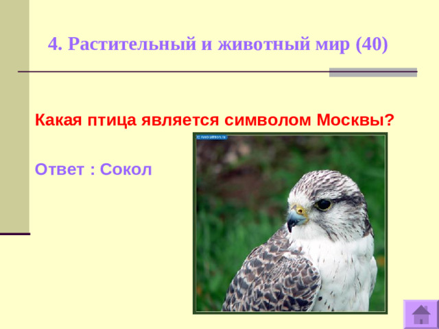 4. Растительный и животный мир (40)    Какая птица является символом Москвы?  Ответ : Сокол