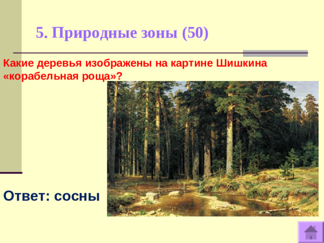 5. Природные зоны (50)   Какие деревья изображены на картине Шишкина «корабельная роща»?         Ответ: сосны