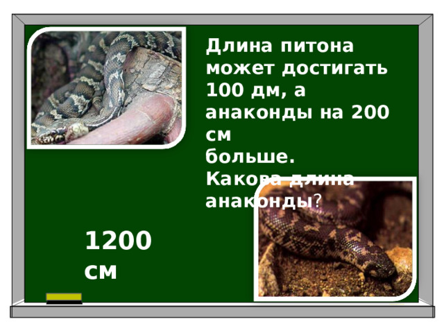 Длина питона может достигать 100 дм, а анаконды на 200 см больше. Какова длина анаконды ? 1200 см