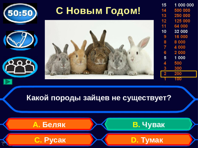 С Новым Годом! Какой породы зайцев не существует? А. Беляк B. Чувак D. Тумак C. Русак