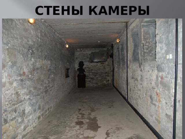 СТЕНЫ КАМЕРЫ