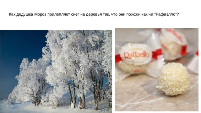 Как дедушка Мороз прилепляет снег на деревья так, что они похожи как на “Рафаэлло”?