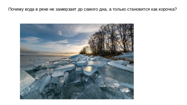 Почему вода в реке не замерзает до самого дна, а только становится как корочка?