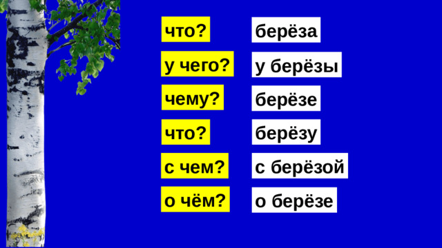 что? берёза у чего? у берёзы чему? берёзе берёзу что? с берёзой с чем? о чём? о берёзе