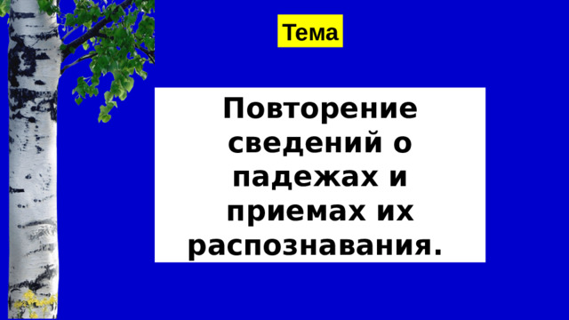 Тема Повторение сведений о падежах и приемах их распознавания.