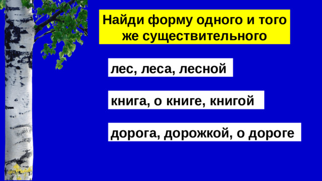 Найди форму одного и того же существительного лес, леса, лесной книга, о книге, книгой дорога, дорожкой, о дороге