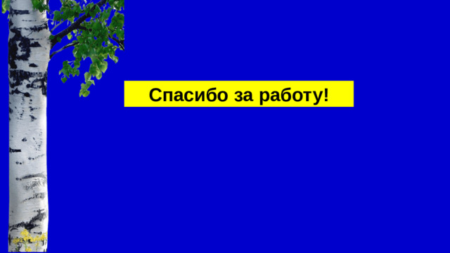 Спасибо за работу!